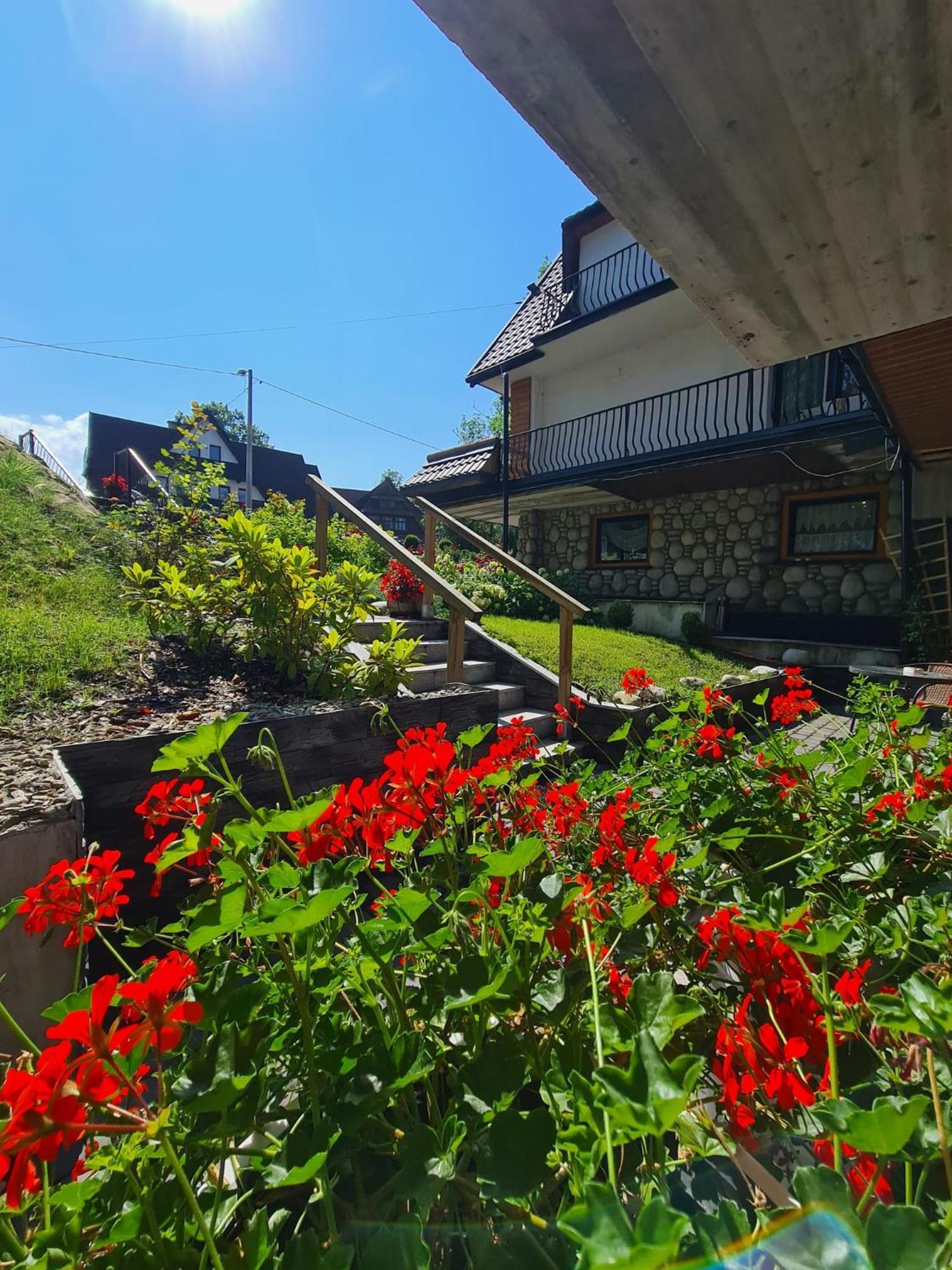 Baca Apartment Bukowina Tatrzanska Bagian luar foto